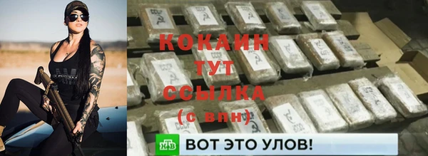 спайс Михайлов