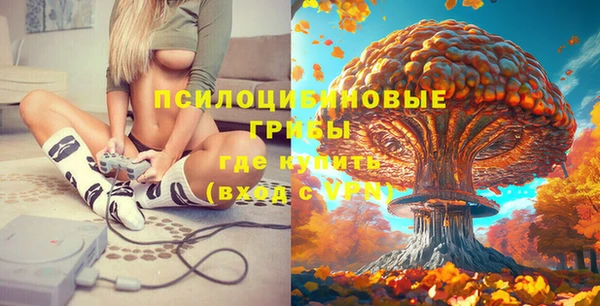 не бодяженный Михайловск
