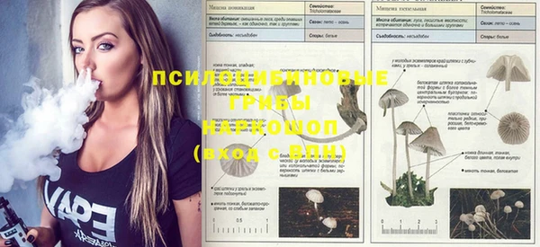 спайс Михайлов