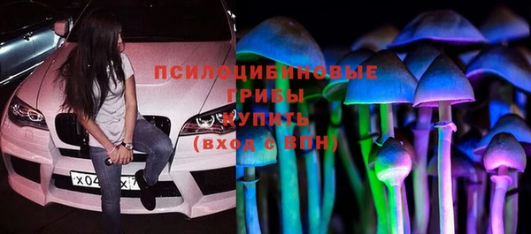 сатива Абдулино