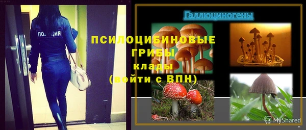 сатива Абдулино