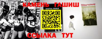 крисы Будённовск