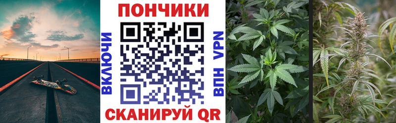 Марихуана гибрид  нарко площадка клад  Кисловодск  как найти закладки 